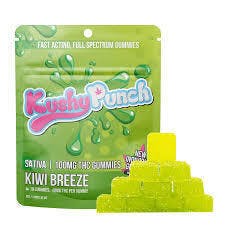 KIWI BREEZE | SAT | 10PC | INDIVIDIUAL
