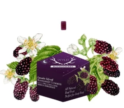 WYLD - Boysenberry — Boysenberry Gummies 1:1:1 THC:CBD:CBN - 10 Pack
