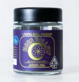 Blue — Andeze Living Soil Jar, Moon Valley Organics