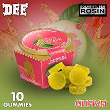 Dee Thai | Guava 1:1 THC:CBG - 200mg Rosin Gummies