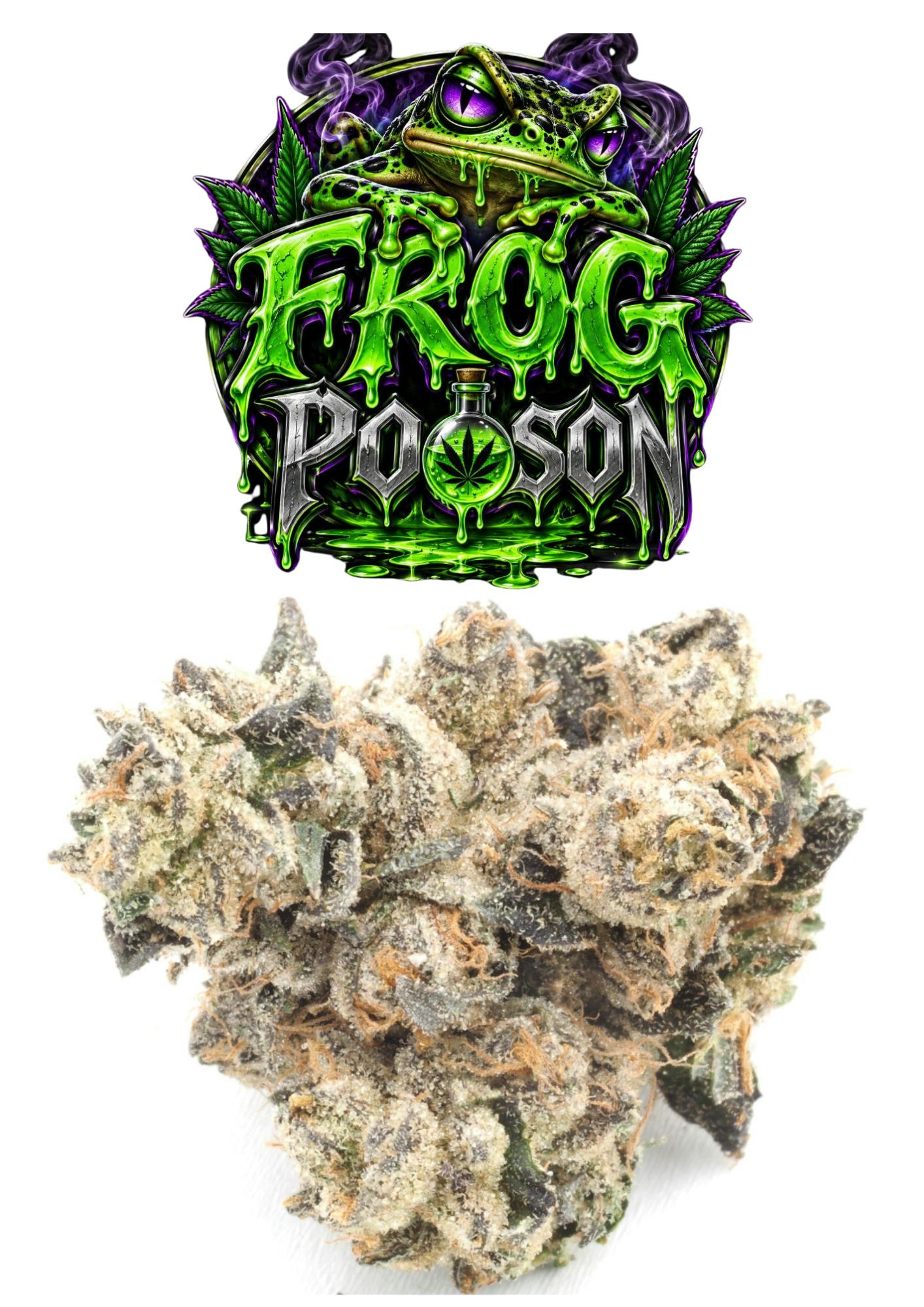 VALLEY PURE FROG POISON FLOWER