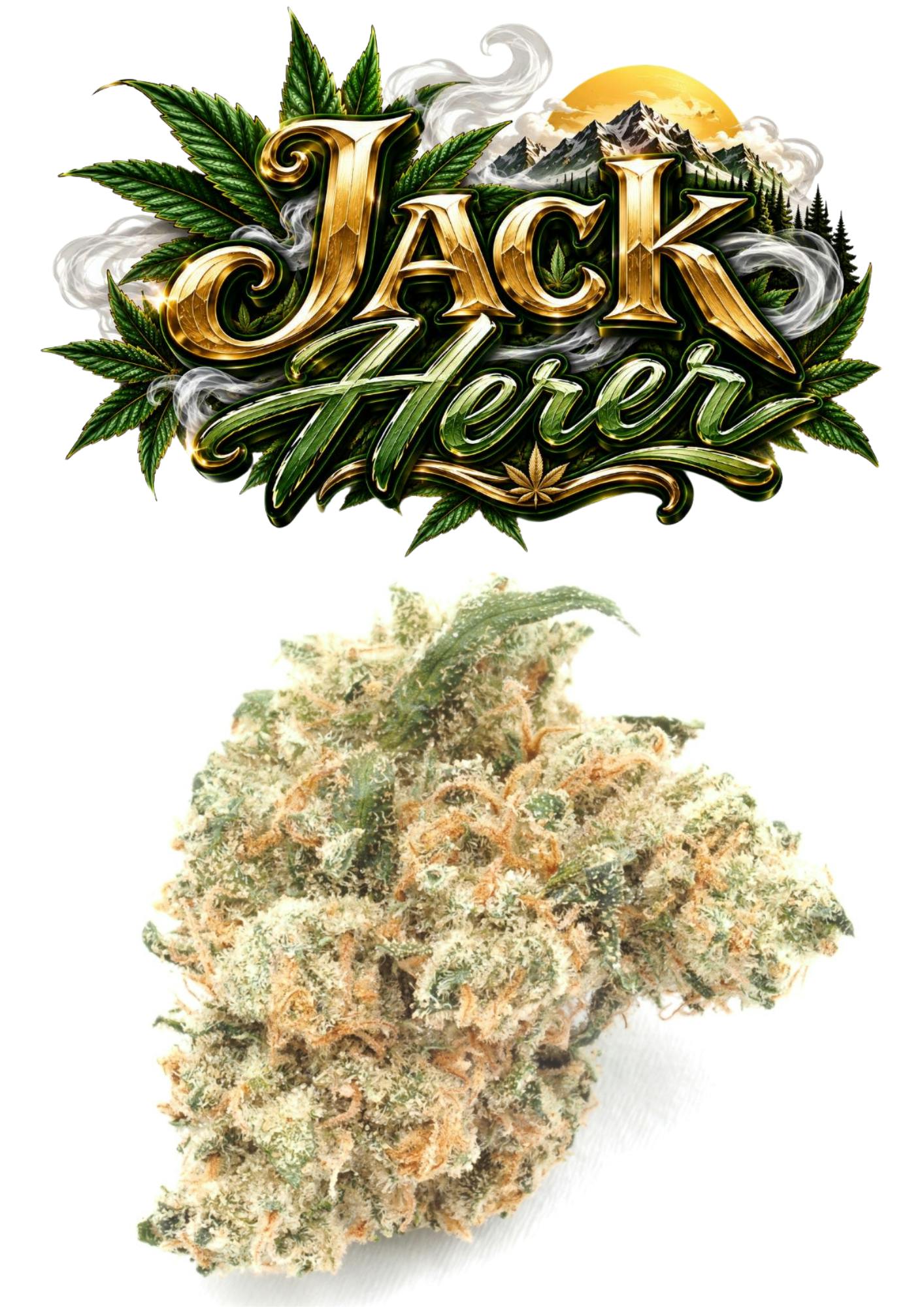 VALLEY PURE JACK HERER FLOWER - 3.5 g