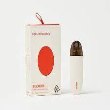 BLOOM — Champagne Kush