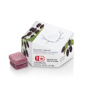 Wyld-100mg Gummy-Marionberry