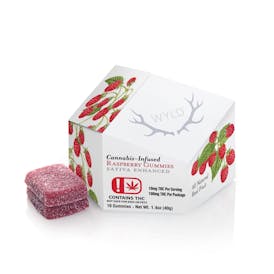 Wyld-100mg Gummy-Raspberry