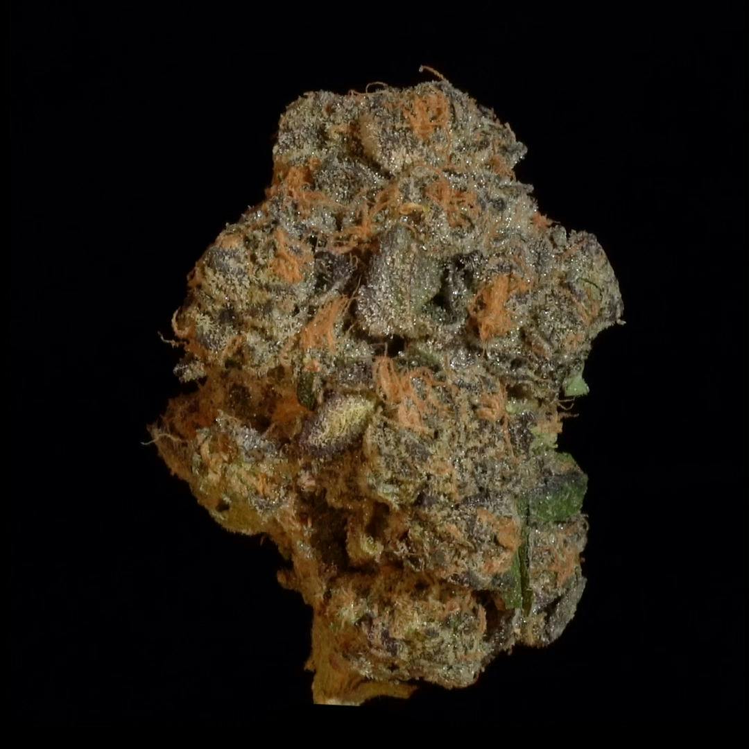 Black Maple - 1oz Shake