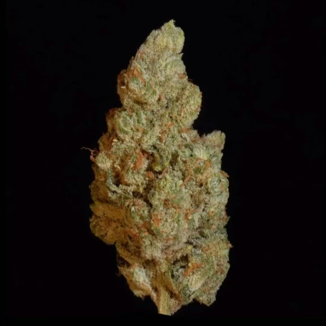 Le Pew - 1oz Clearance Shake