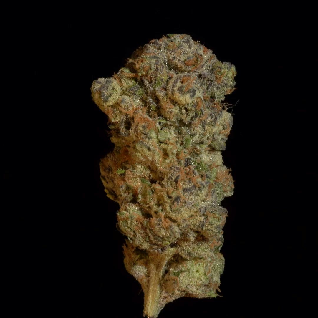 Dulce De Papaya - 1oz Shake