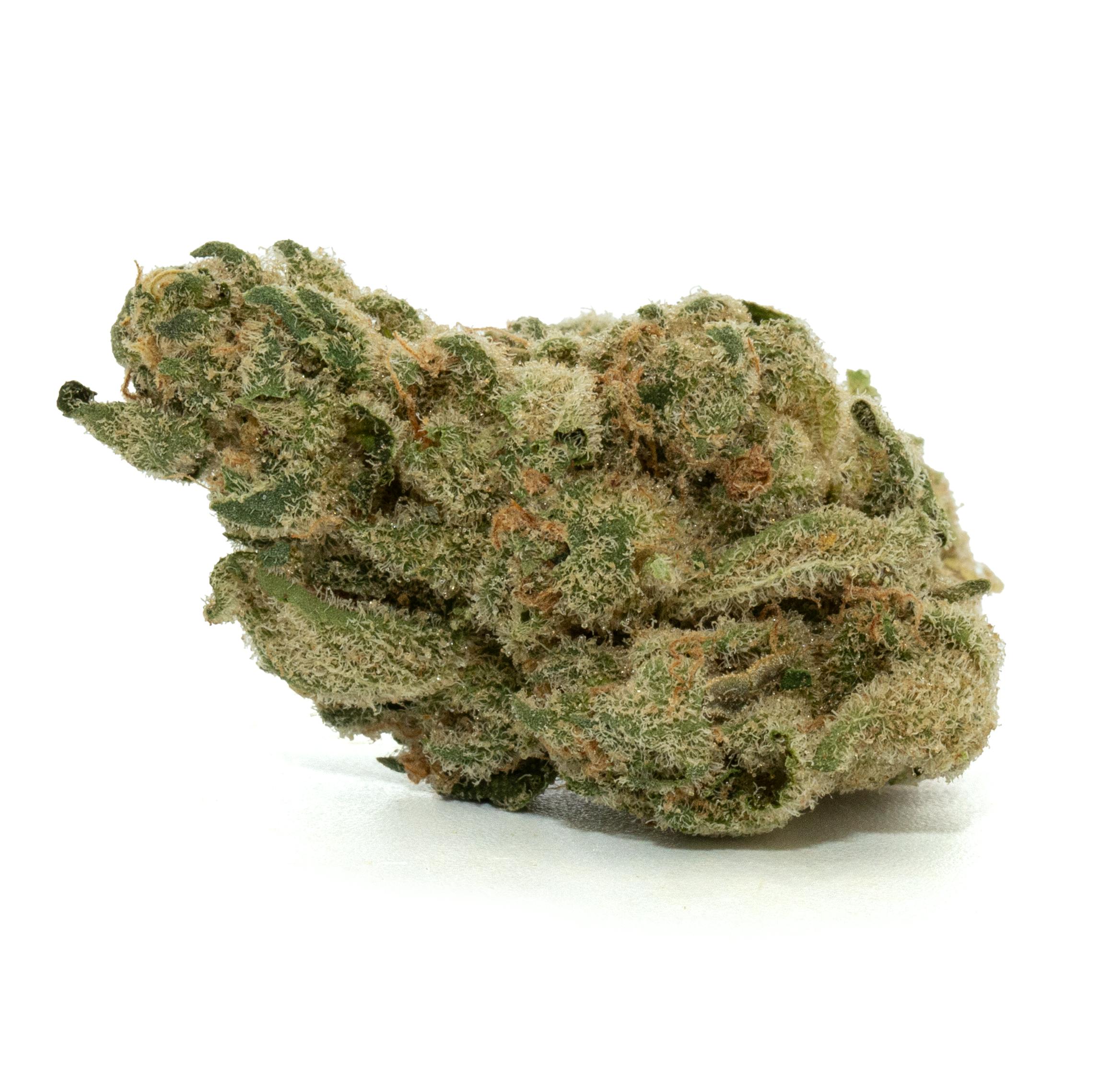 TROPICAL PRESSURE | MASONIC'S BLACK LIME RESERVE X RESIDENTIAL BELTS 5 [3.5G]