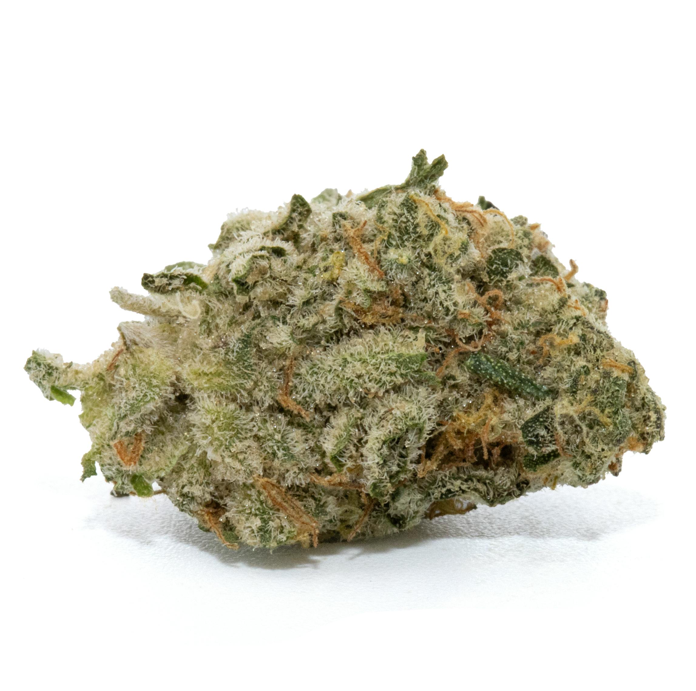ANIMAL SHERB MINTS [3.5G]