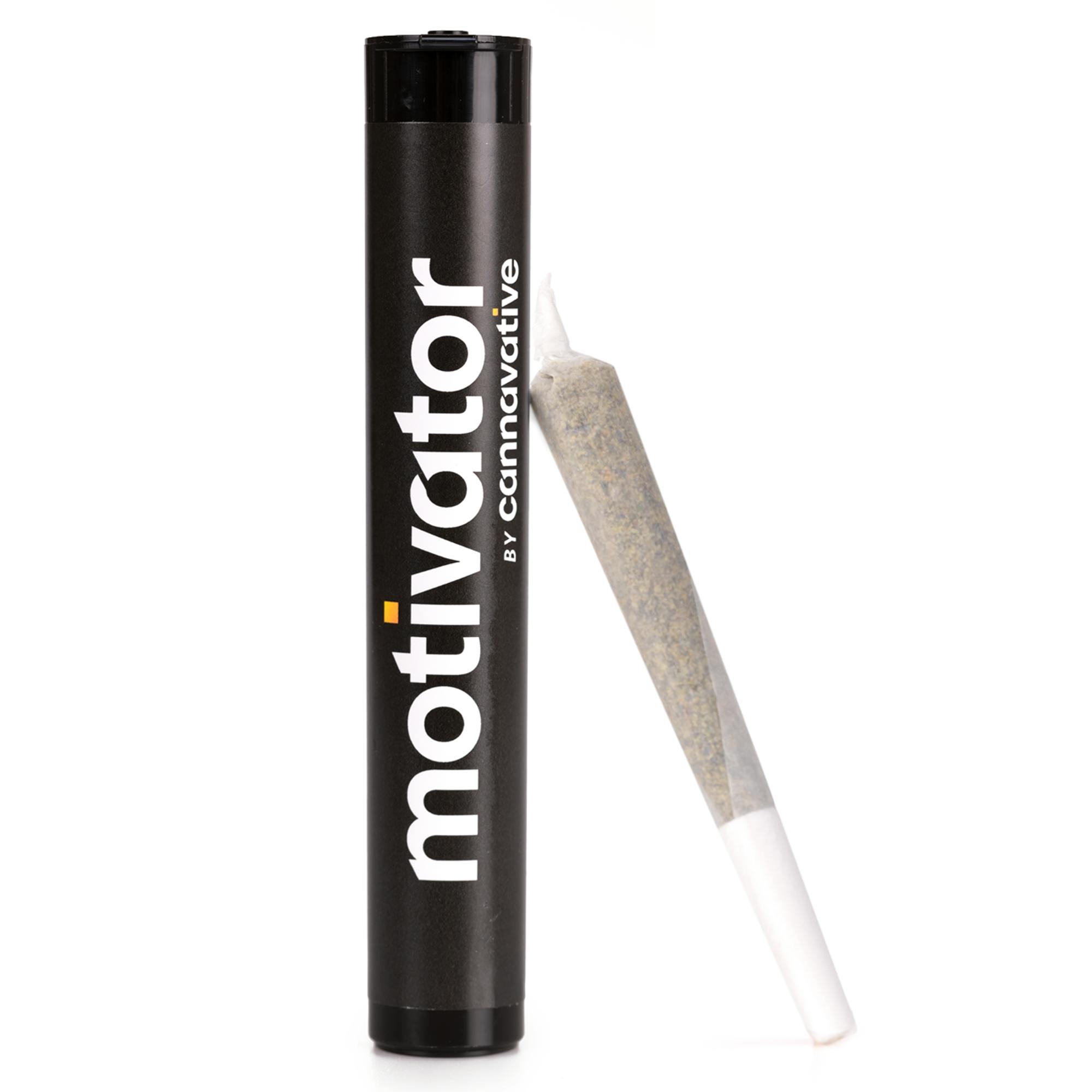 GELATO CRISP MOTIVATOR INFUSED PRE-ROLL [1G]