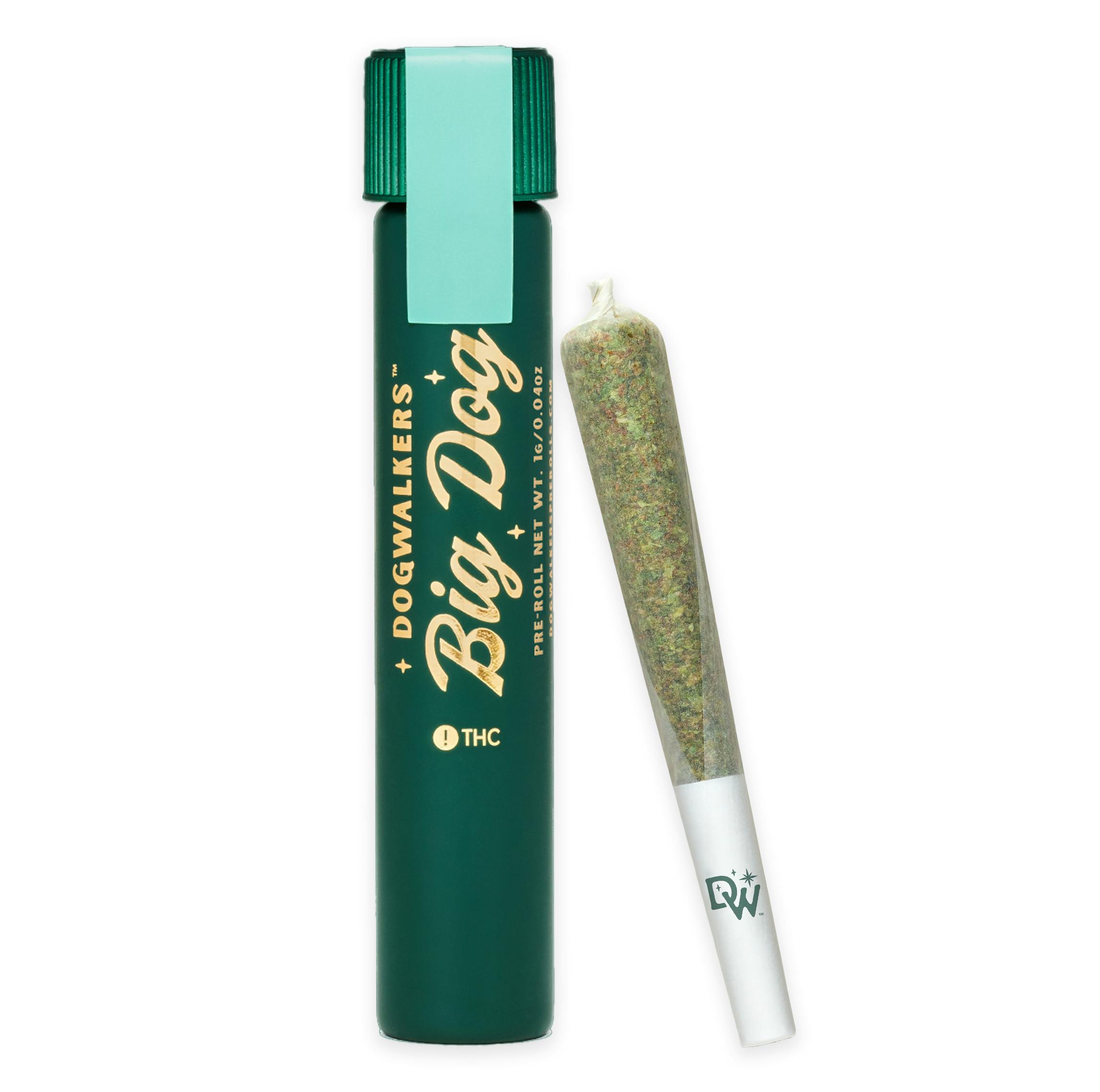 RUNTZ PRE-ROLL [1G]