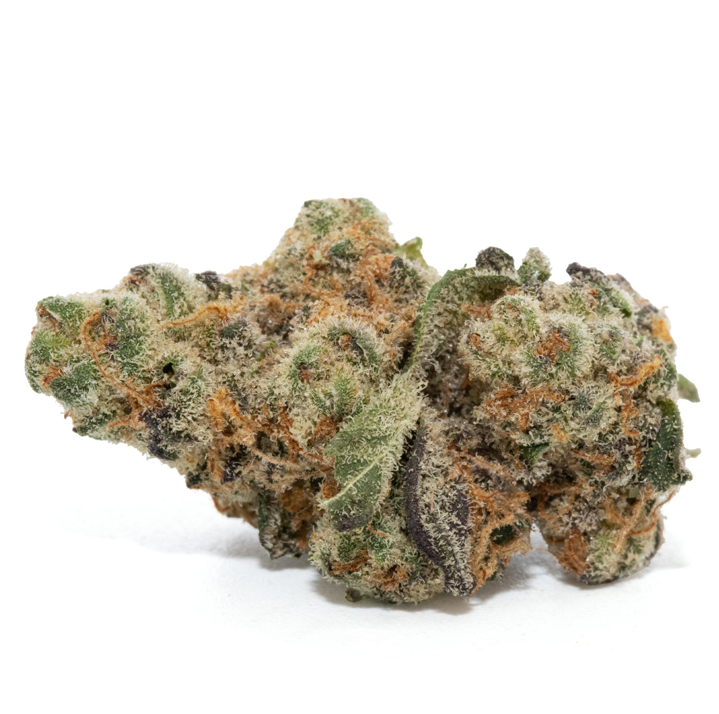GLITTER BOMB [3.5G]