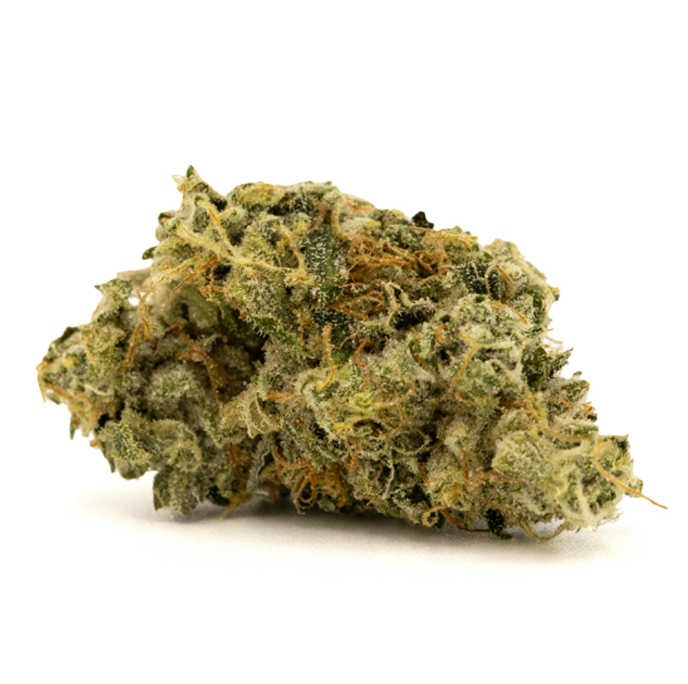 BLUE SHOCKTARTZ [3.5G]