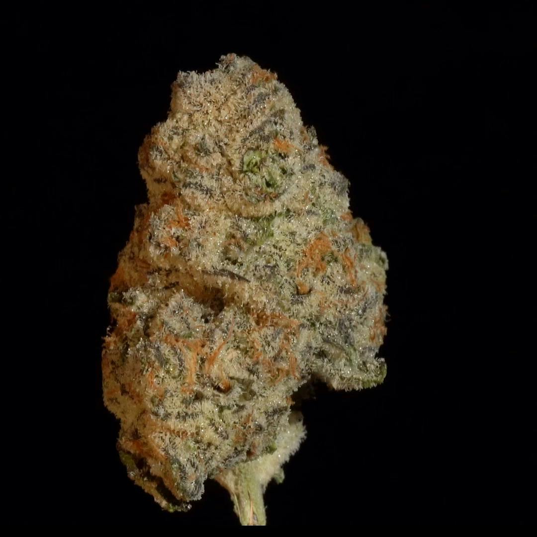 CapJunky - 1oz Shake