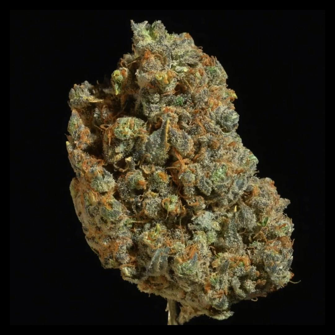 Jet Fuel - 1oz Shake