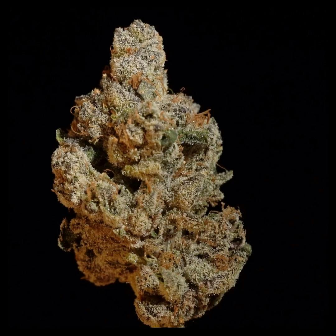 Juntz - 1oz Shake