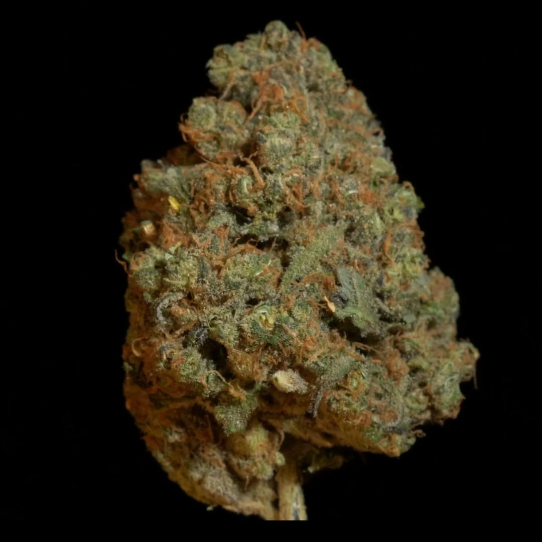 Lemon Kush - 1oz Top Shelf Flower