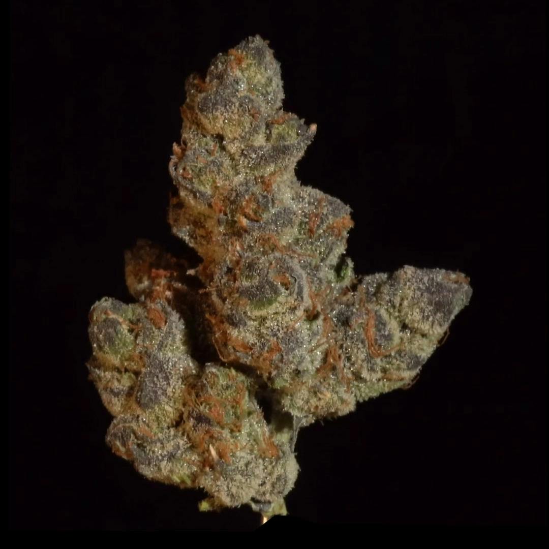 Sex Panther - 1oz Shake