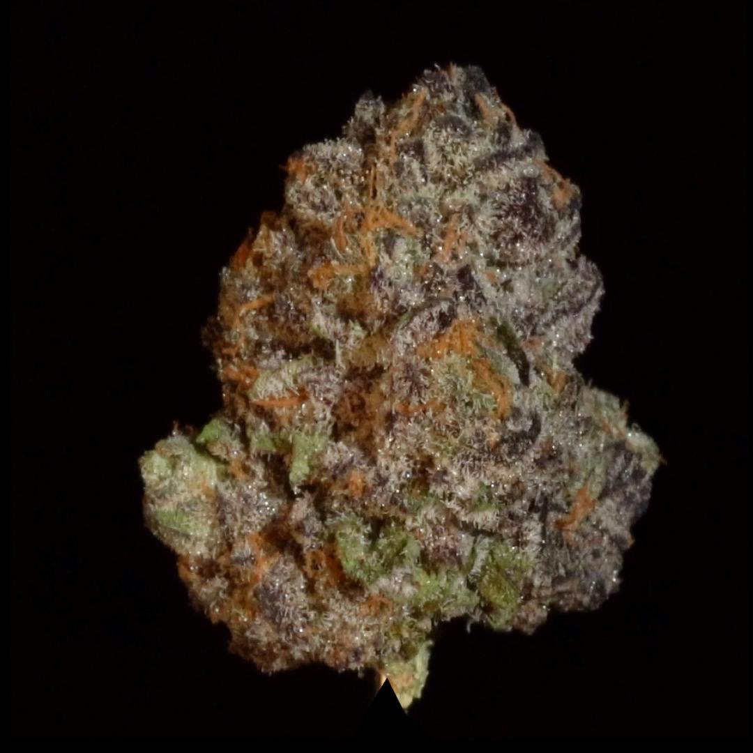 Mendo Grape - 1oz Shake