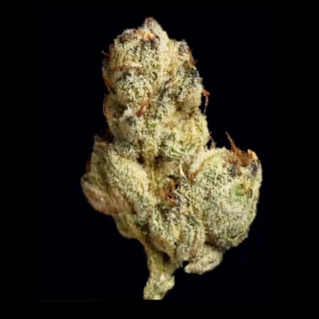 Sherb Pop - 1oz Shake