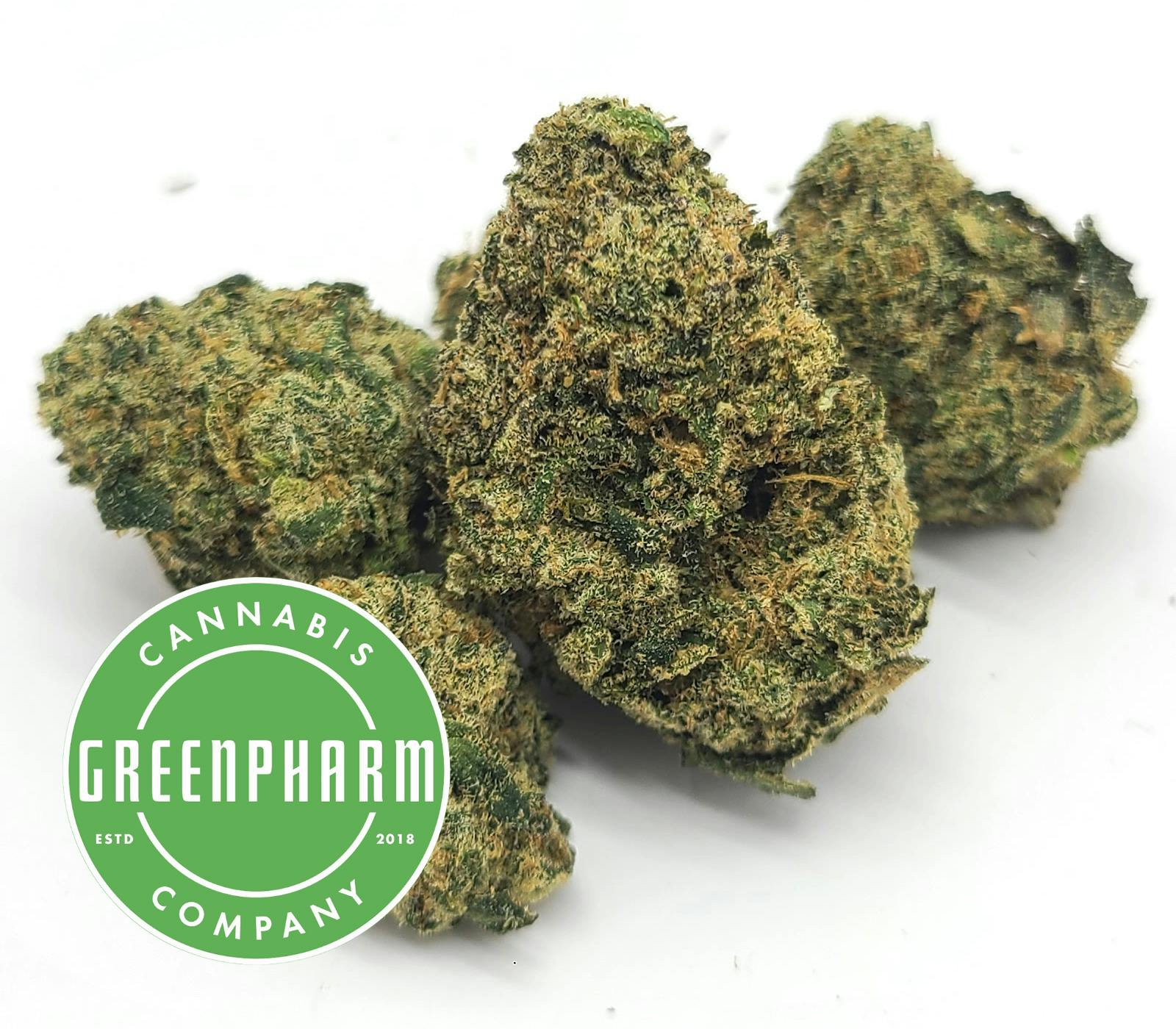 Flower | Beyond Green | Bluegatti | Bulk