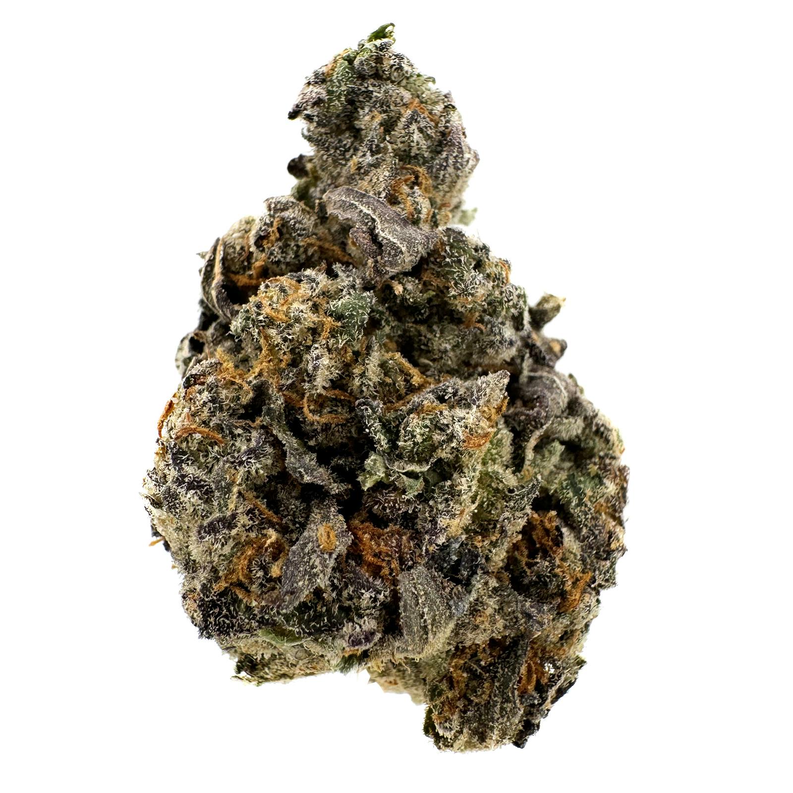 Sal's Weed - Grease Bucket cannabis product