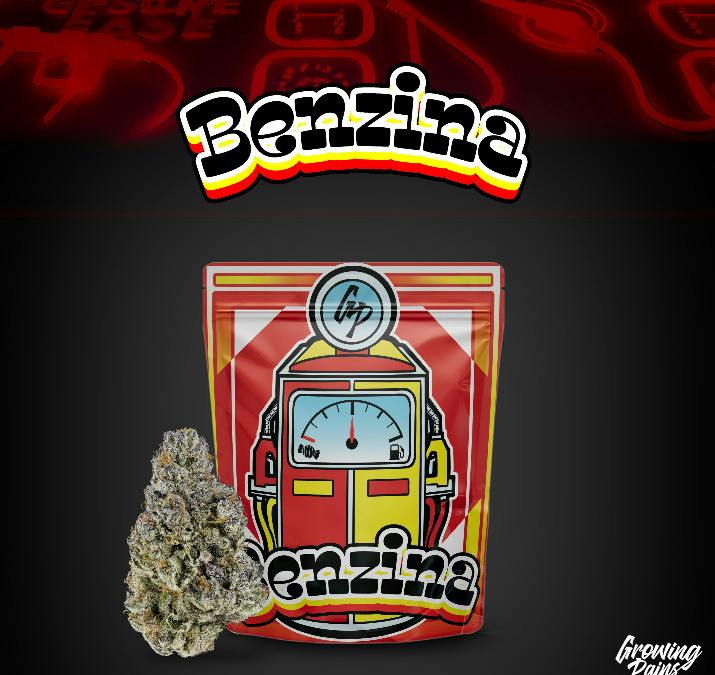Growing Pains | Tier 1 Bulk Flower | Benzina