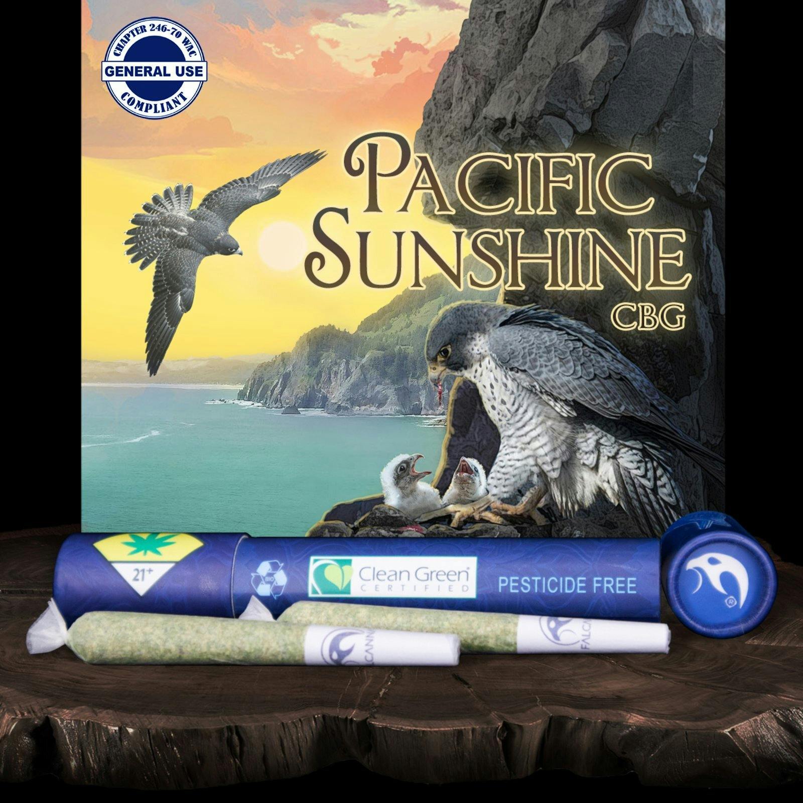 Pacific Sunshine CBG (2x 0.6g) | Falcanna - 2 Pack Pre Roll