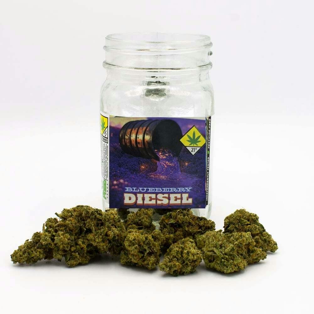 Blueberry Diesel | Phat Panda - Core Flower