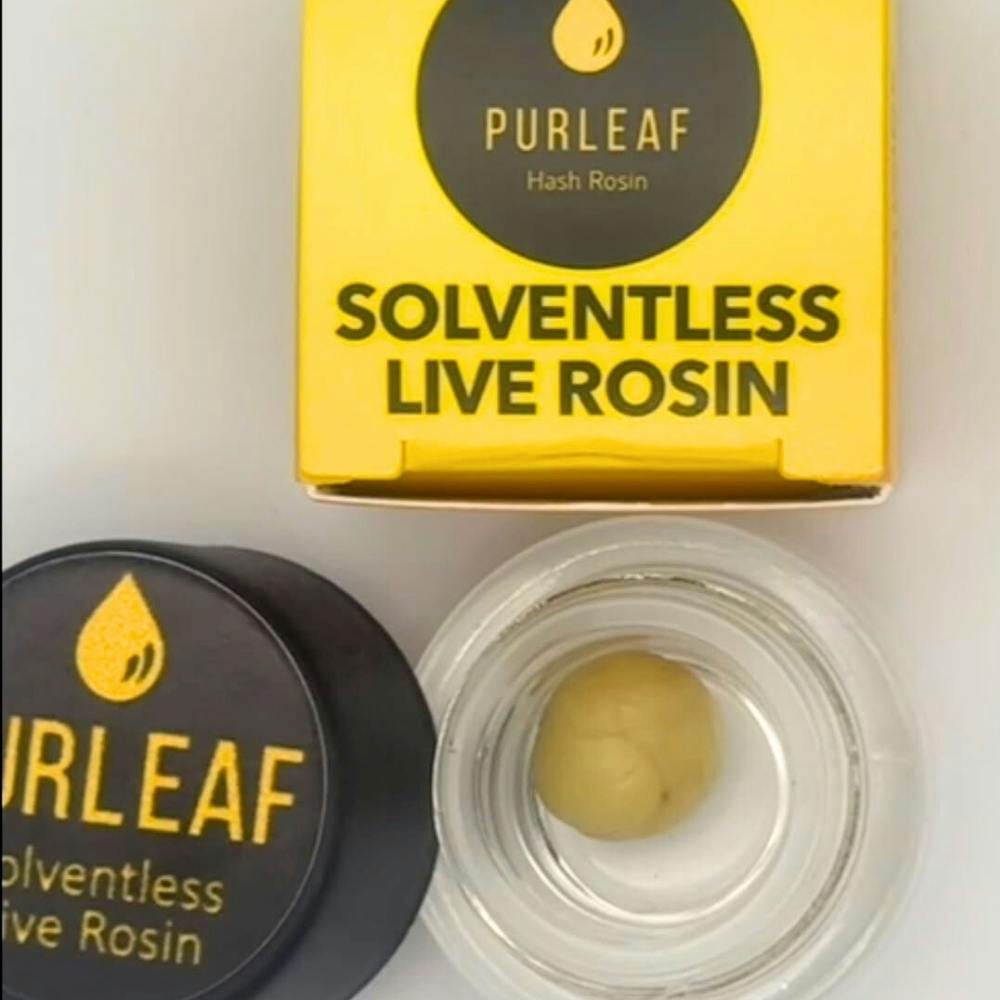 Hells Angels OG | PurLeaf - Live Rosin