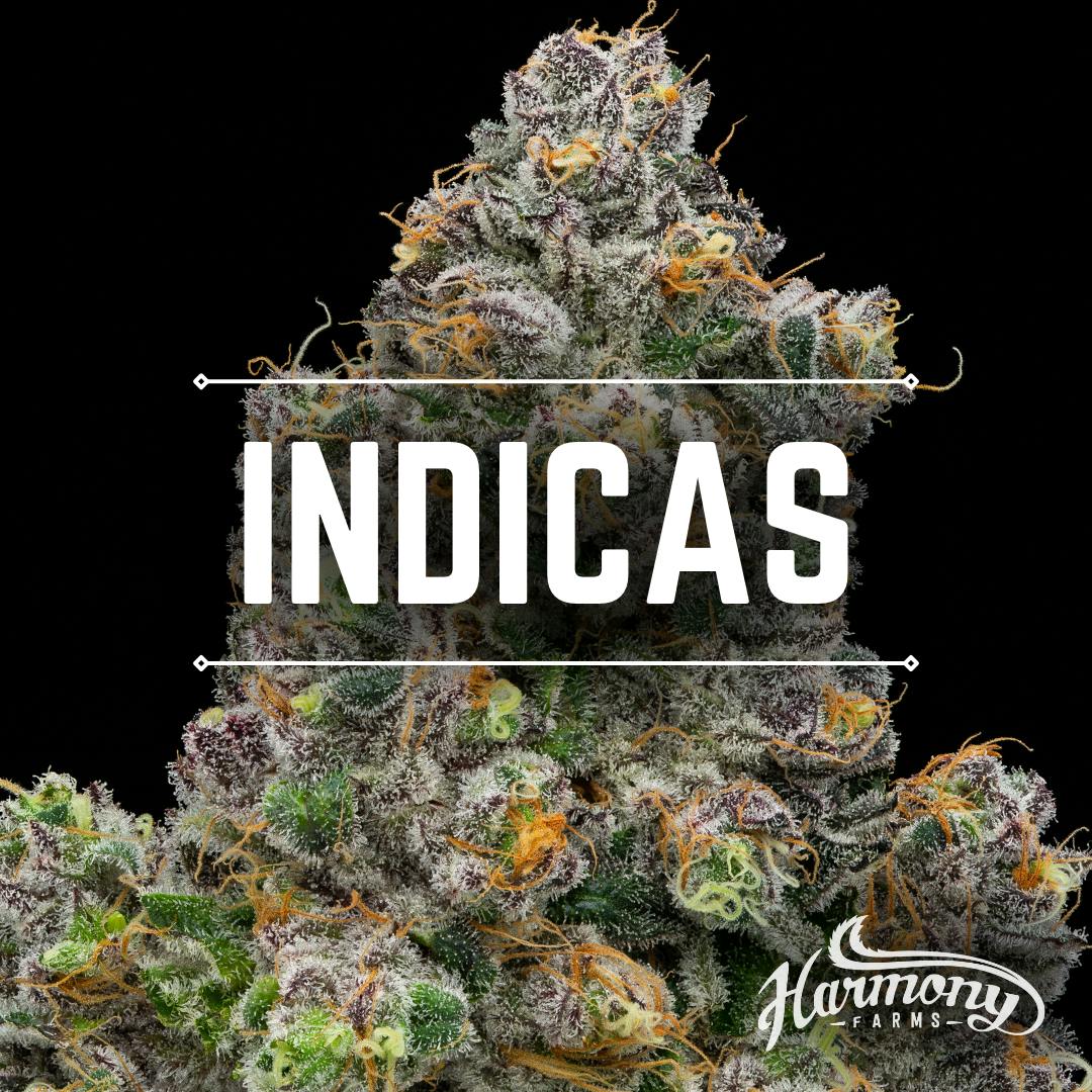 Jokerz Candy | Harmony Farms - Flower