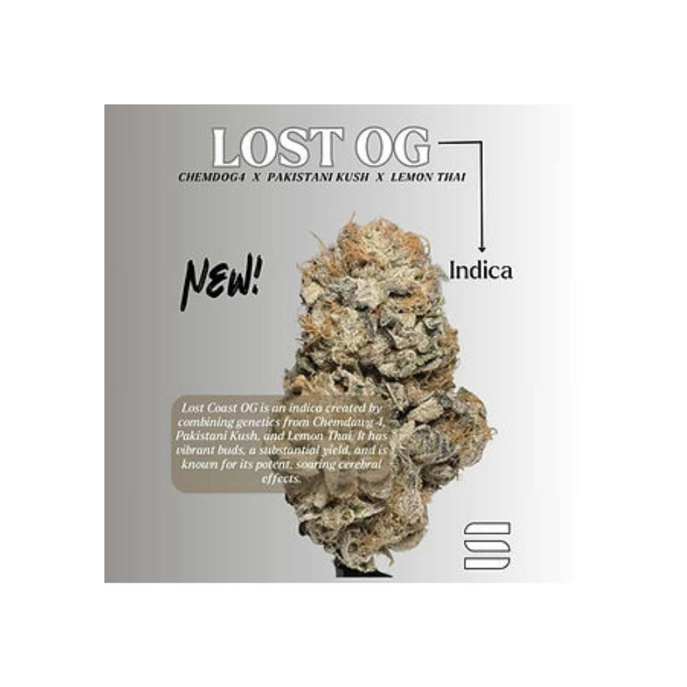 Lost OG | Suspended Brands