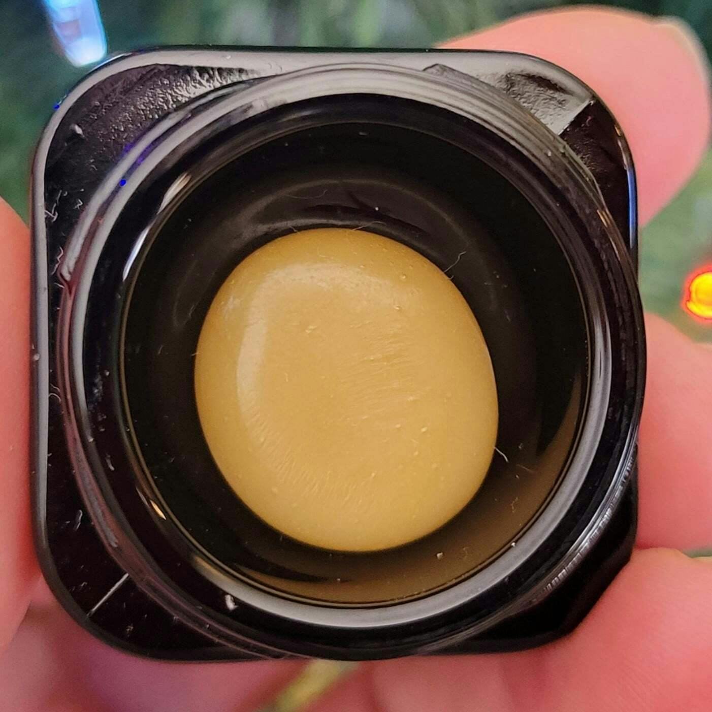 Gorilla Girl | Washington Bud Company - Hash Rosin