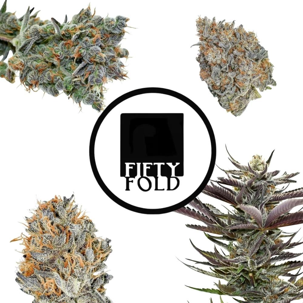 California Octane | Fifty Fold - Indoor