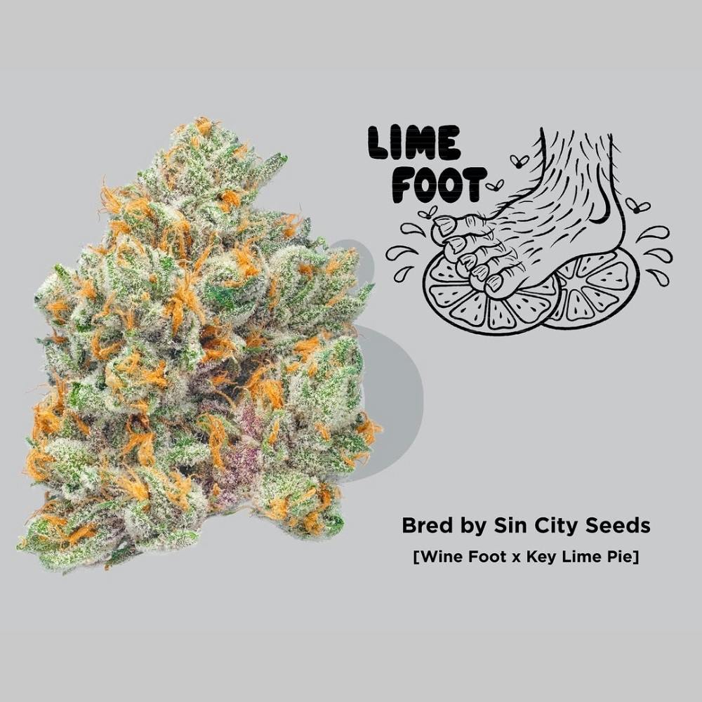 Lime Foot | Skord