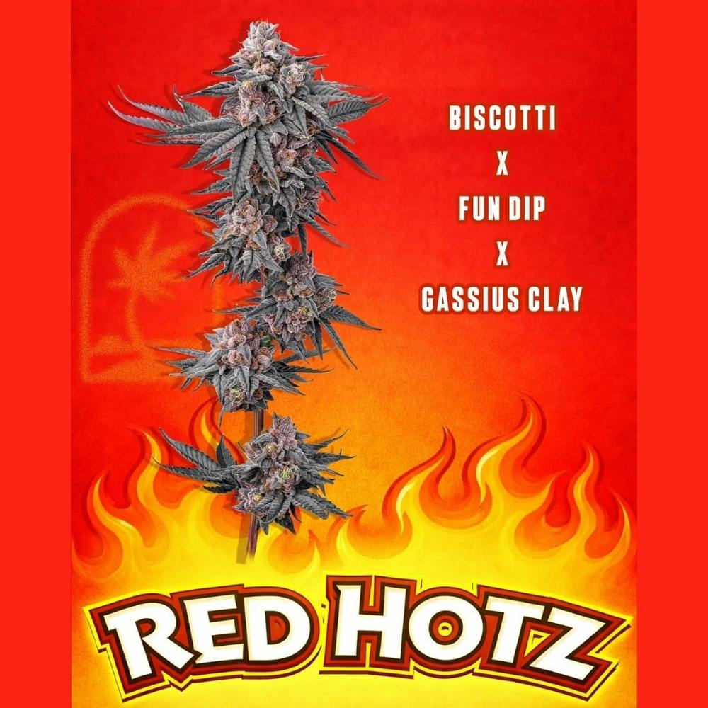 Red Hotz | Trees Co. - WA