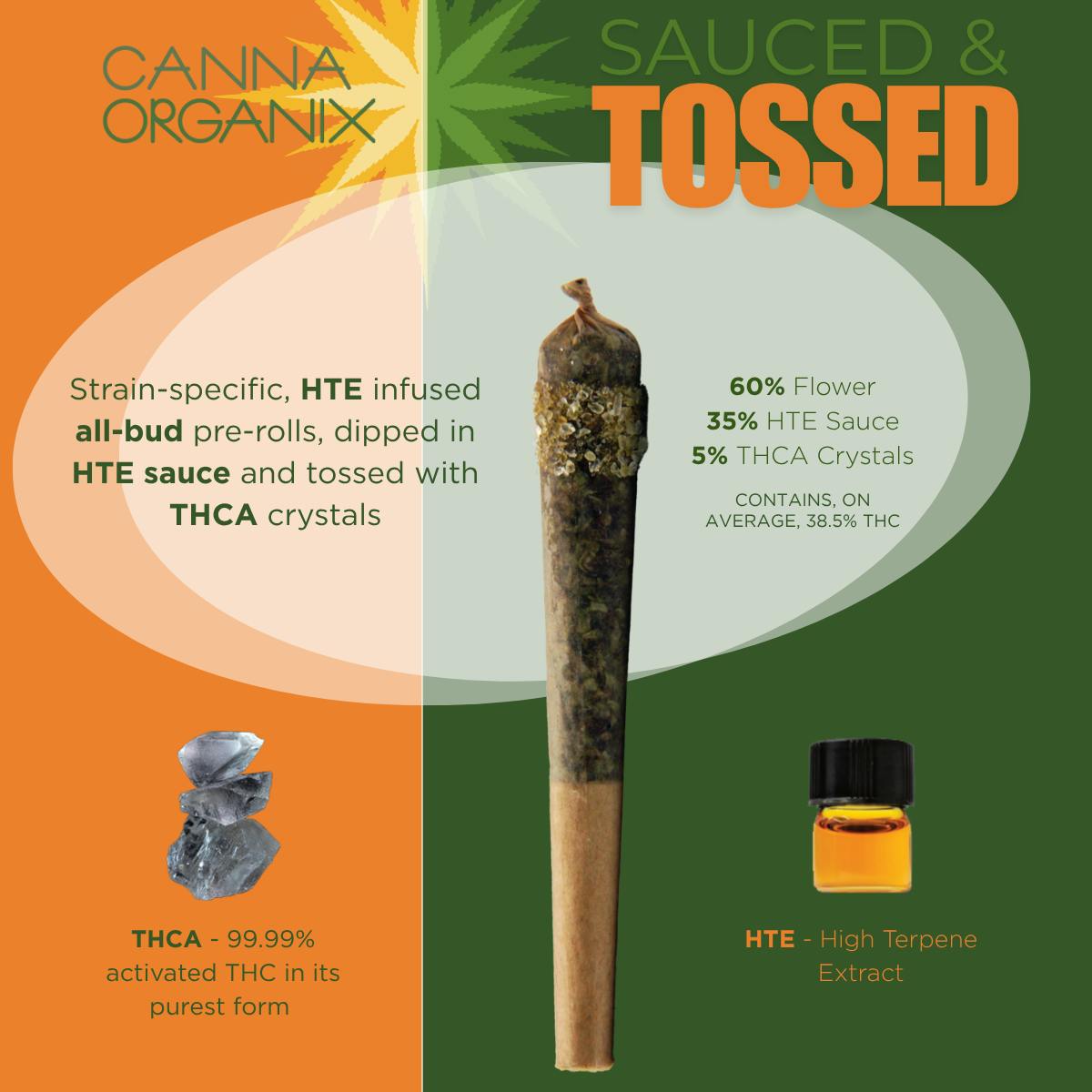 Durban Poison (2x 0.5g) | Canna Organix - Sauced & Tossed - 2 Pack Infused Pre Roll