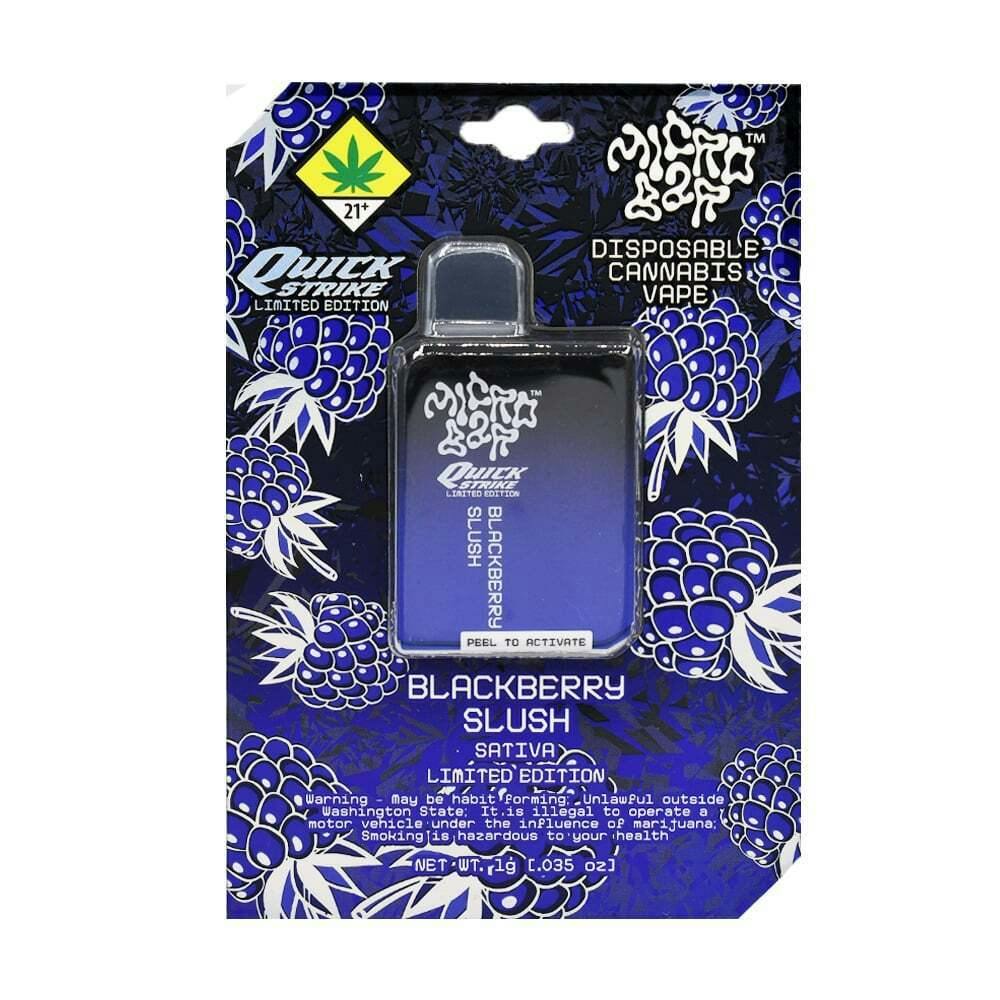 Blackberry Slush (1G) | Micro Bar - All-In-One Pen