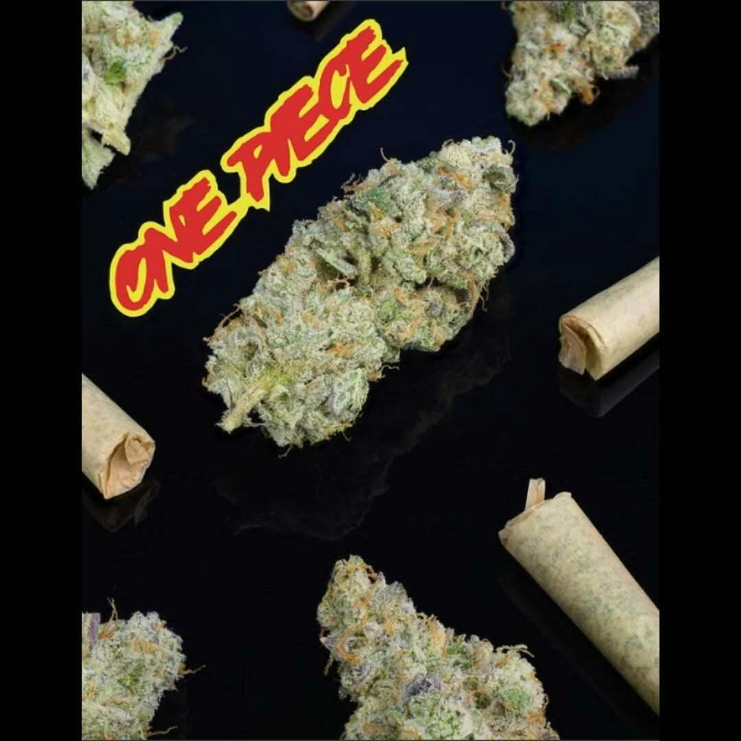 One Piece (1G) | Svin Garden - Pre Roll