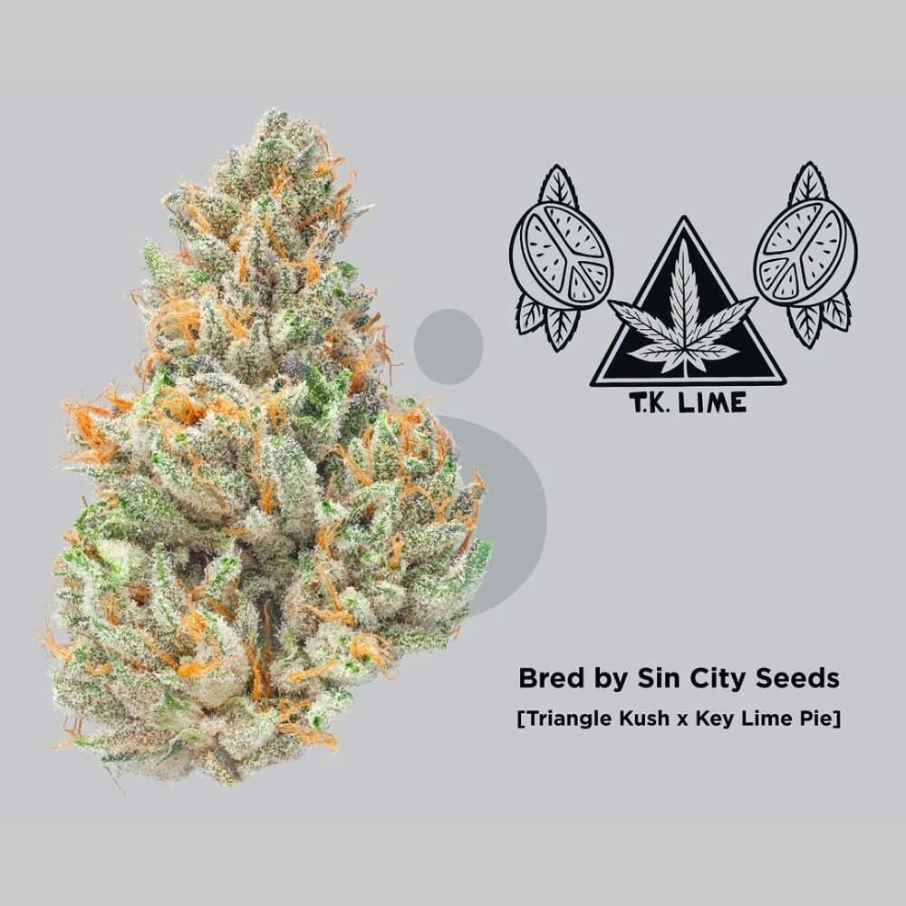 TK Lime | Skord - Smalls