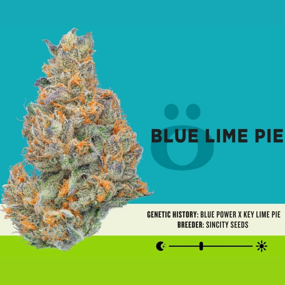 Blue Lime Pie | Skord