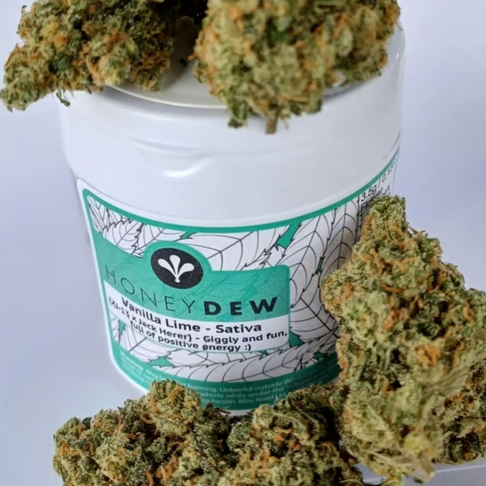 WA Widow | Honeydew
