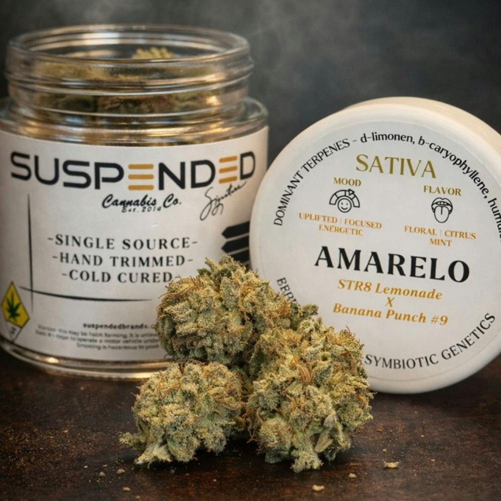 Amarelo | Suspended Brands