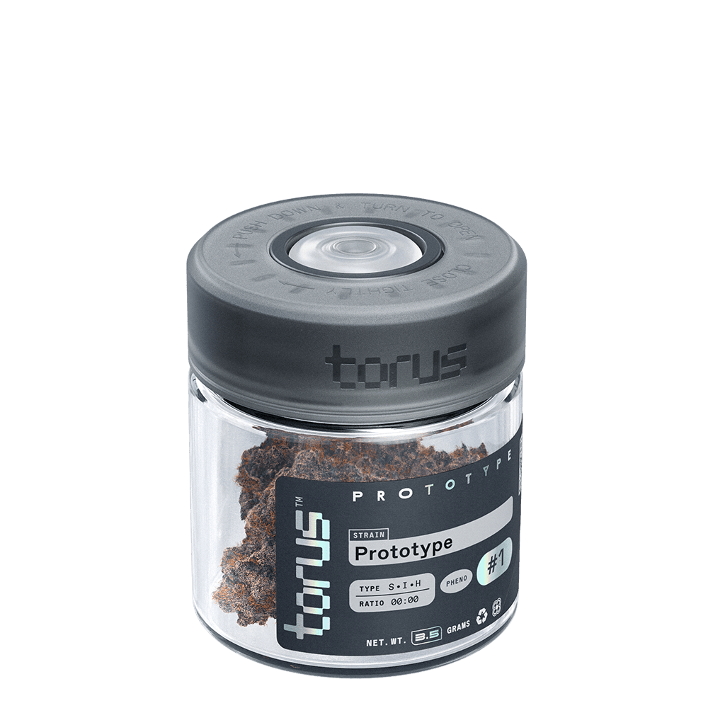 Jasmine Mochi | Torus