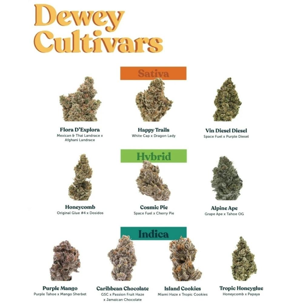 Royal Guava | Dewey Cannabis Co.