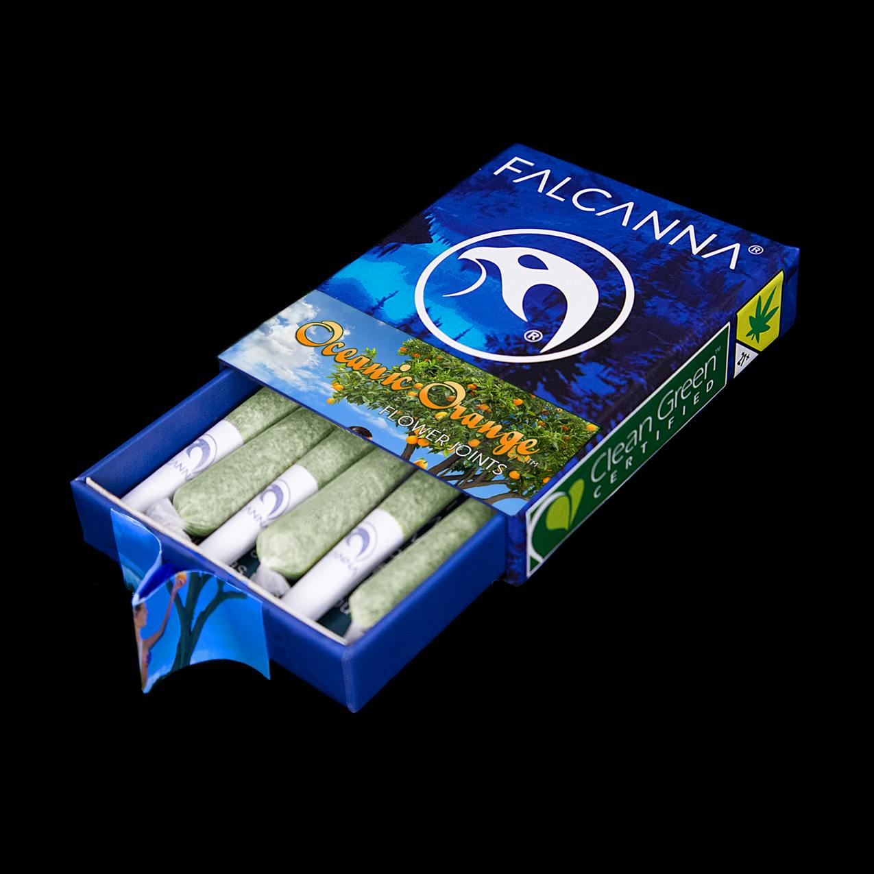 Oceanic Orange (6x 0.6g) | Falcanna - 6 Pack Pre Roll