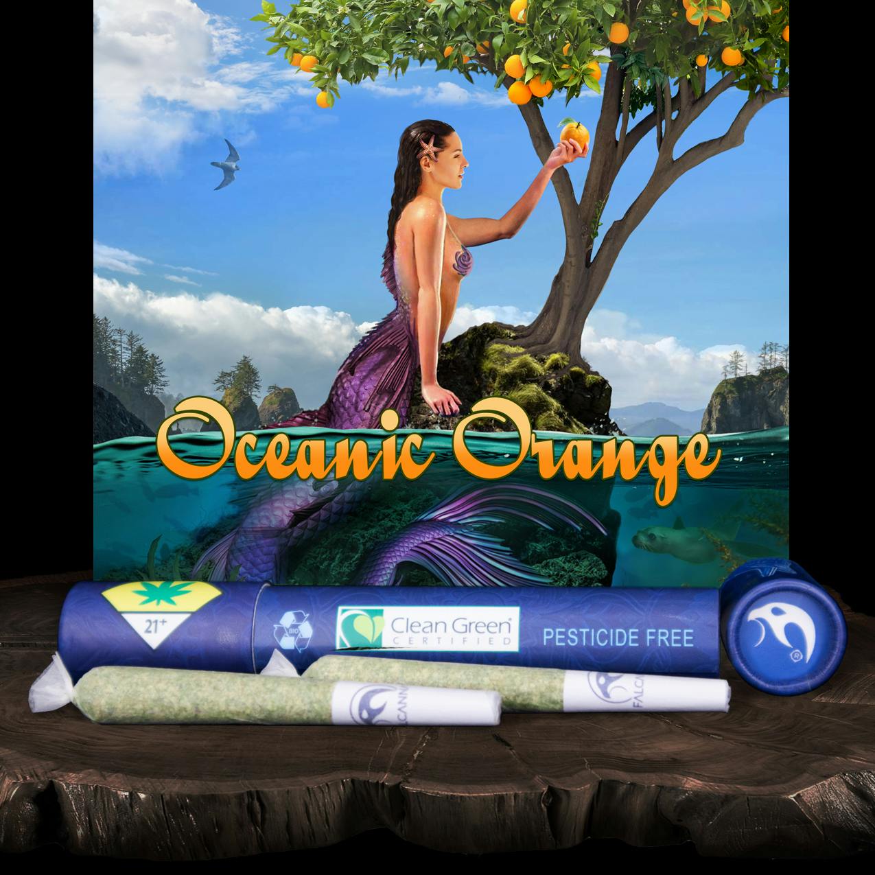 Oceanic Orange (2x 0.6g) | Falcanna - 2 Pack Pre Roll