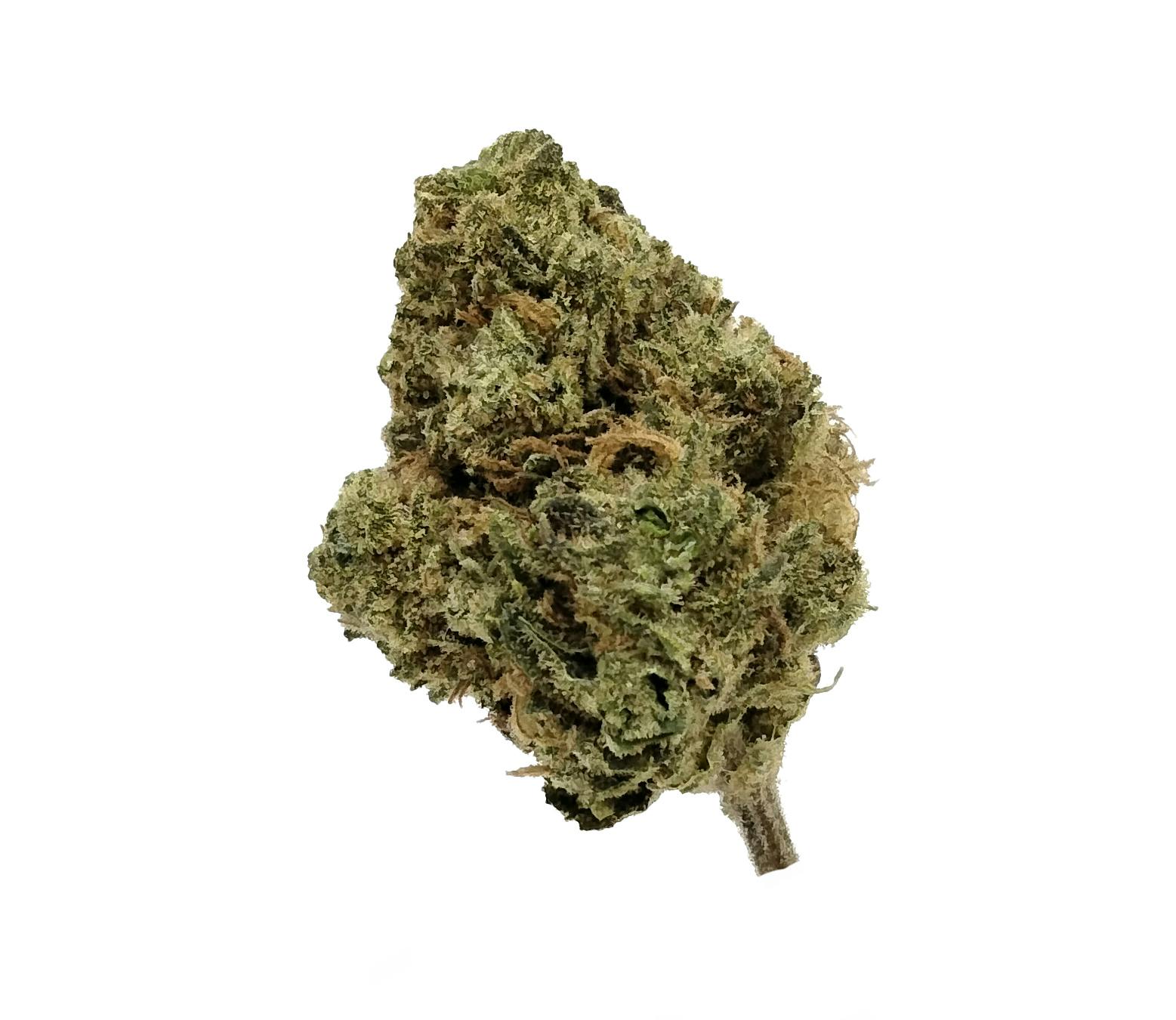 No Bad Days GMO Prepack Rec