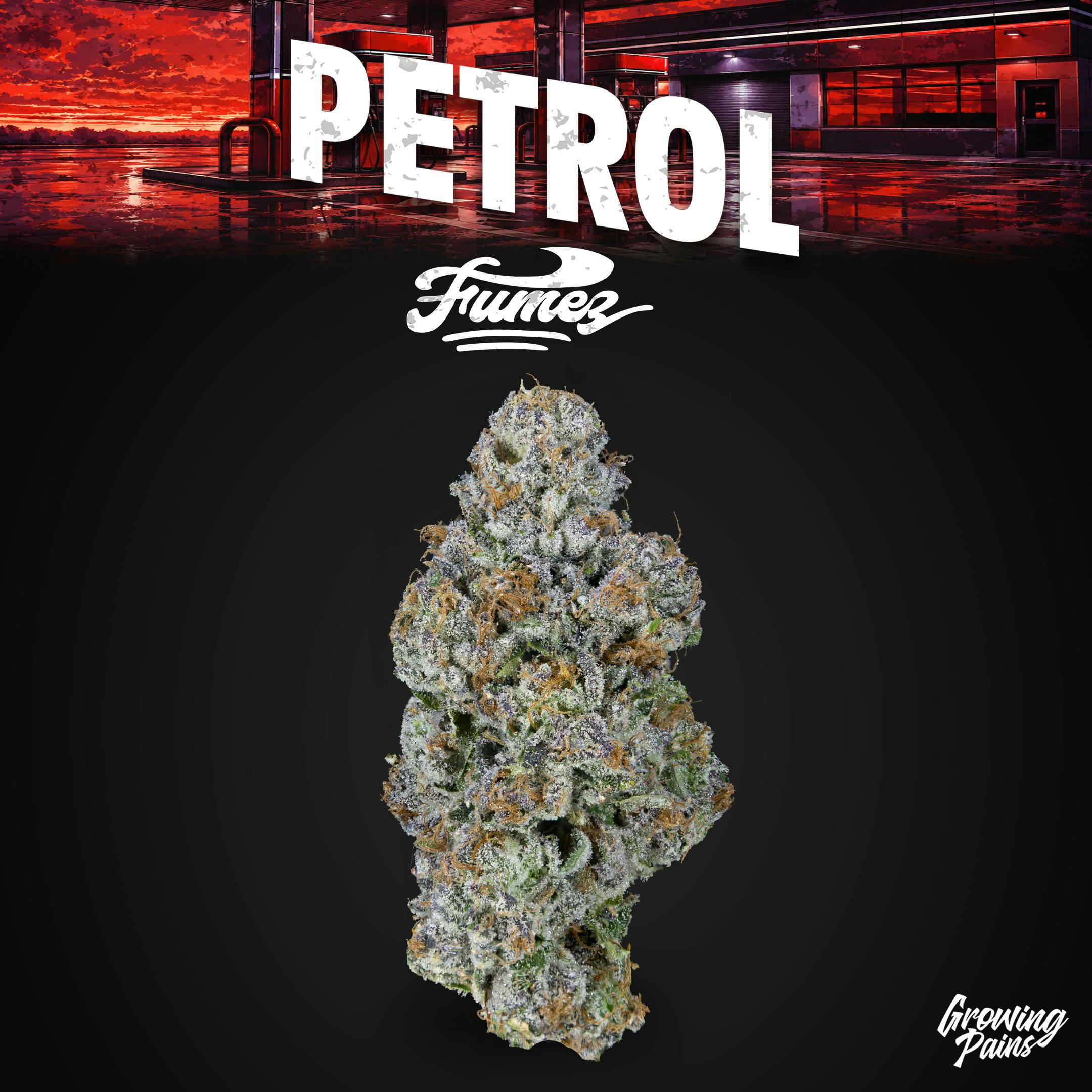 Growing Pains - Petrol Fumez cannabis product